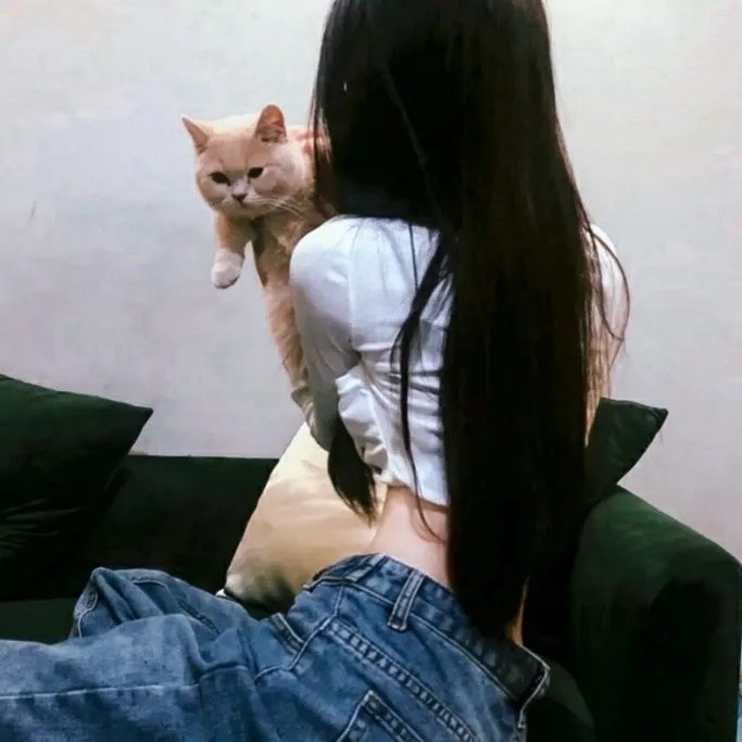 银翼情人